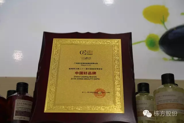 科技引領美麗▏棟方股份榮獲“中國好品牌獎”!